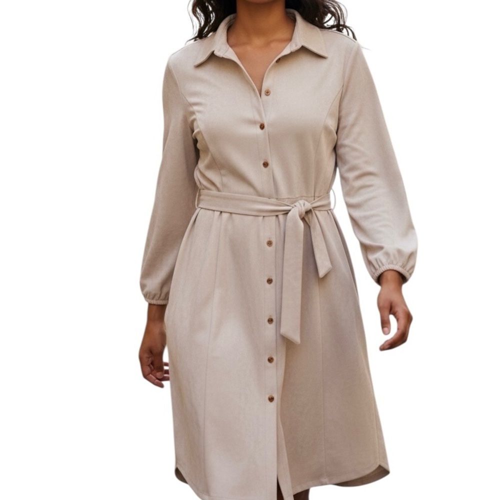 Calvin Klein Elegant Sand Stone Light Cream Color. Suede Button-Down Dress. Sz 4